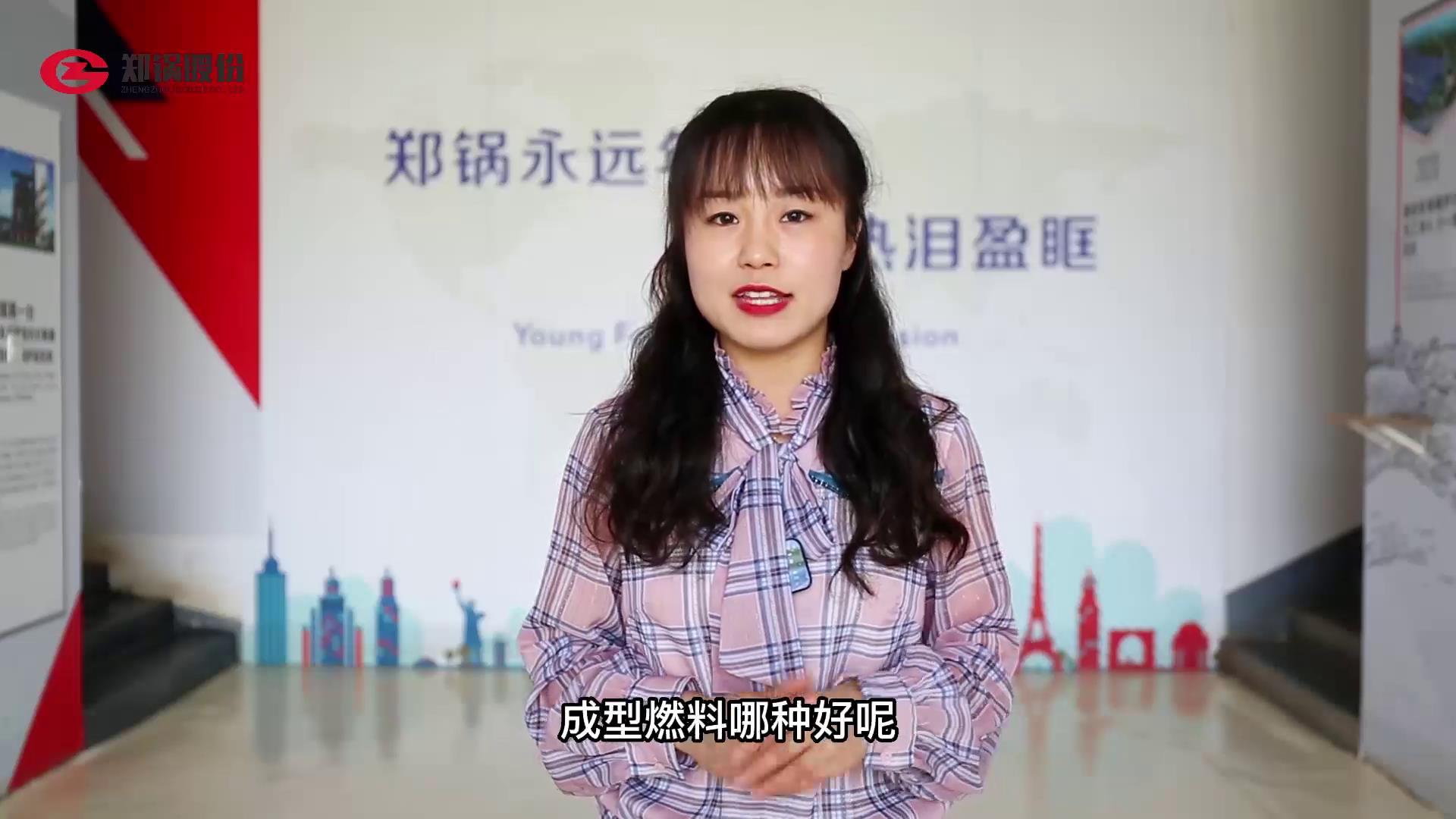 生(sheng)物質(zhì)(zhi)直(zhi)燃燃料(liao)咊(he)成型(xing)燃料(liao)哪種(zhong)好(hao)
