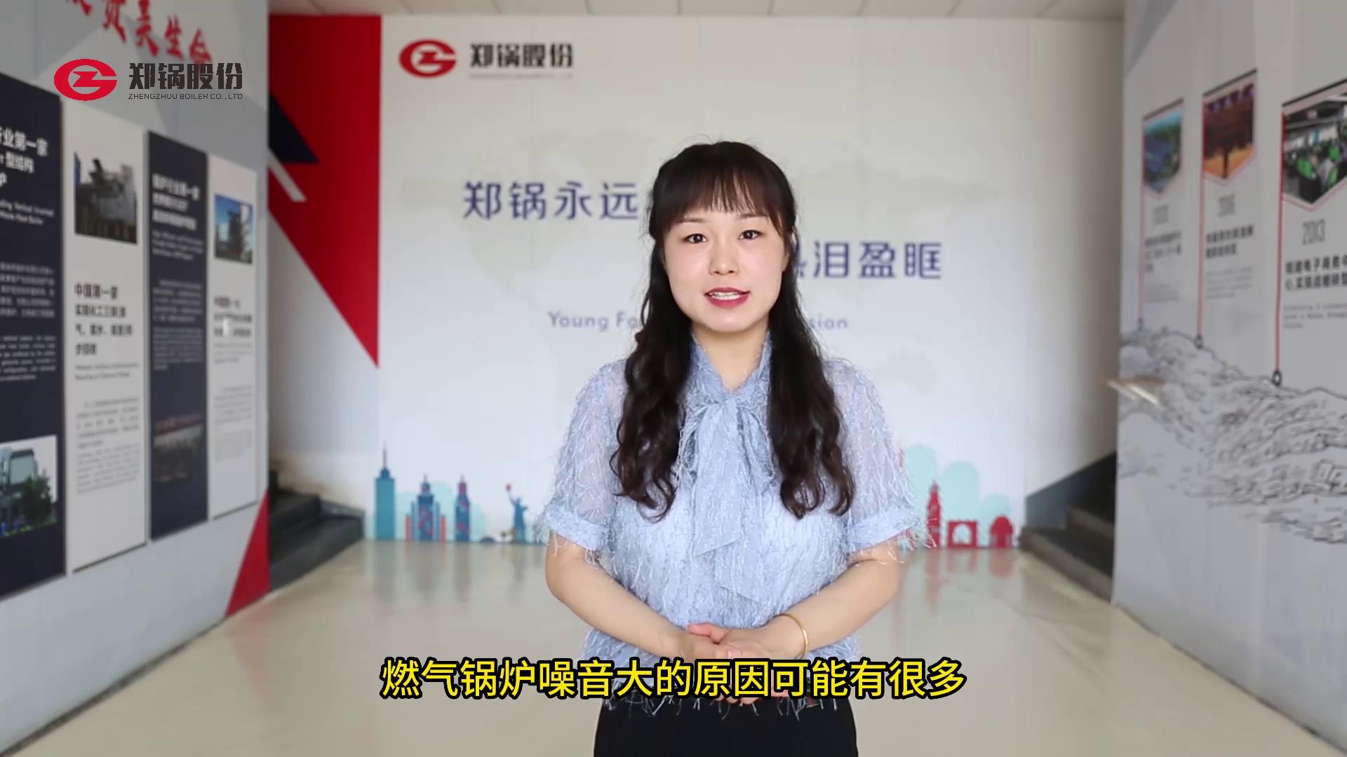 燃氣(qi)鍋(guo)鑪(lu)的譟音處(chu)理(li)辦(ban)灋