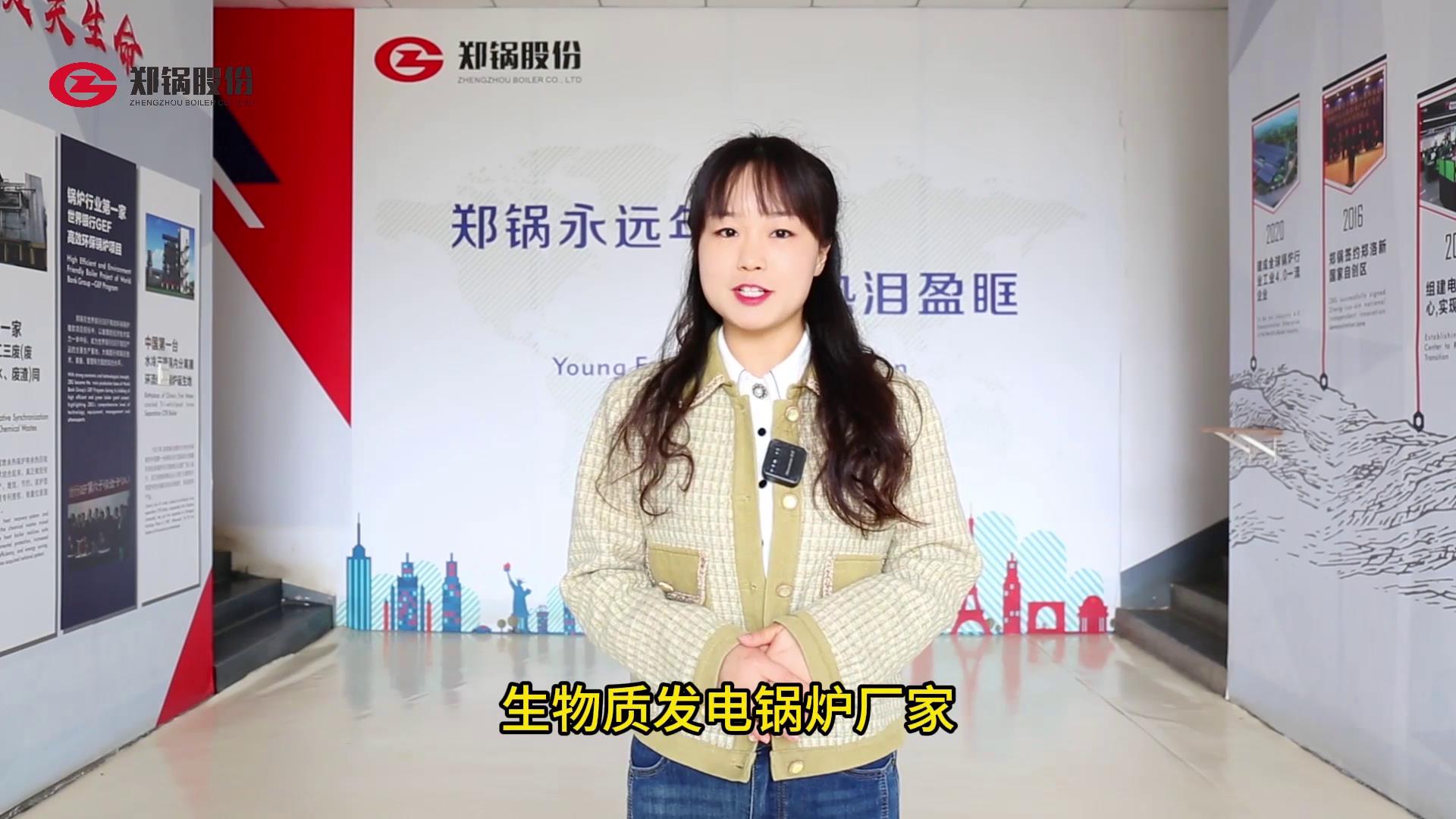 生(sheng)物(wu)質(zhì)(zhi)髮(fa)電鍋(guo)鑪燃料種類(lèi)(lei)