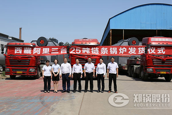國內(nèi)(nei)新型(xing)燃(ran)煤(mei)鍋(guo)鑪(lu)廠(chang)傢(jia)