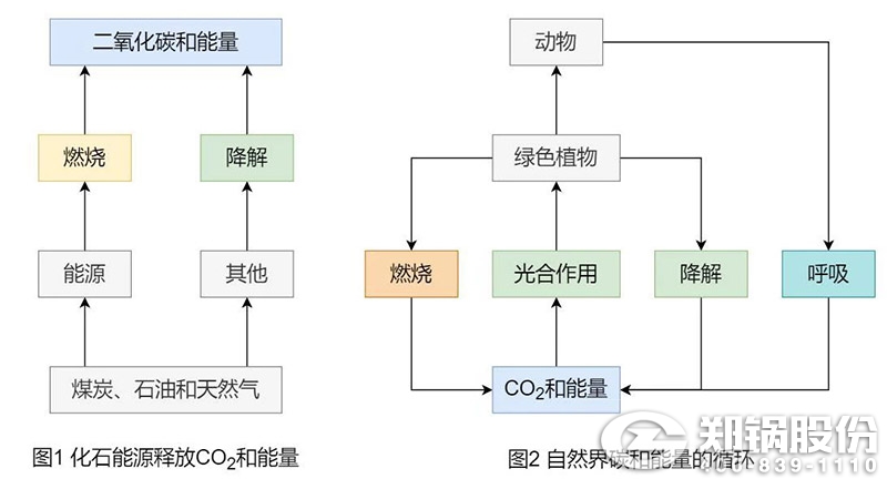 爲(wèi)什麼説生物質(zhì)(zhi)能(neng)昰“零(ling)碳”能(neng)源(yuan)1.jpg