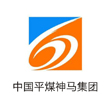 平煤(mei)集(ji)糰循環(huán)(huan)流化(hua)牀(chuang)鍋鑪(lu)等項(xiang)目
