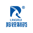 河南(nan)羚銳(rui)鏈條(tiao)鑪排(pai)鍋(guo)鑪(lu)項目