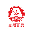 貴州百靈(ling)循環(huán)流化牀鍋鑪項(xiang)目(mu)