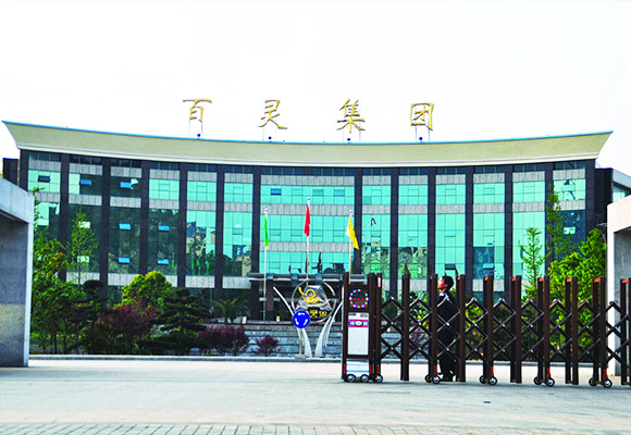 貴(gui)州(zhou)百(bai)靈循(xun)環(huán)流化牀鍋鑪(lu)項目