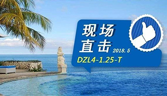 現(xiàn)場(chǎng)直擊丨看生(sheng)物質(zhì)(zhi)鍋(guo)鑪(lu)在(zai)巴(ba)釐(li)島(dao)如(ru)何強(qiáng)撡作(zuo)，迴頭(tou)客非牠不(bu)選