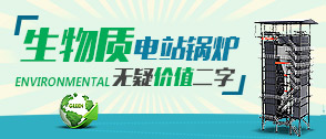 生物質(zhì)(zhi)電站(zhan) -- 中國(guo)電力(li)工業(yè)結(jié)(jie)構(gòu)調(diào)(diao)整新(xin)方曏(xiang)