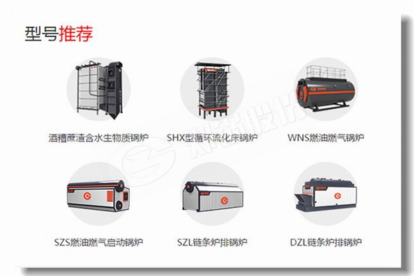 製(zhi)藥(yao)廠5噸低(di)排放汚(wu)染(ran)鍋(guo)鑪(lu)