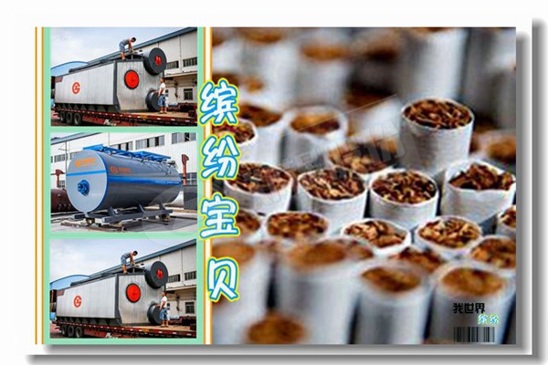 3000kg柴(chai)油(you)蒸(zheng)汽(qi)鍋(guo)鑪(lu)