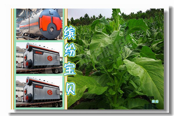 6噸煤(mei)臥式(shi)蒸汽鍋鑪