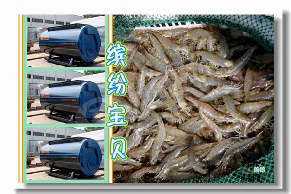 8噸(dun)燃(ran)氣蒸汽鍋鑪工程(cheng)冷凝鍋(guo)鑪(lu)