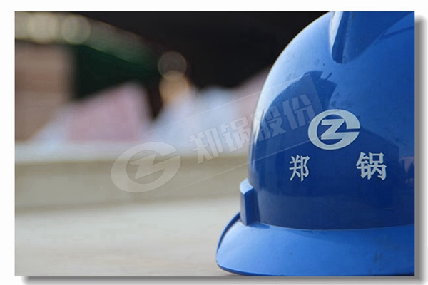 DZG係(xi)列固定(ding)鑪(lu)排多(duo)燃(ran)料(liao)鍋(guo)鑪